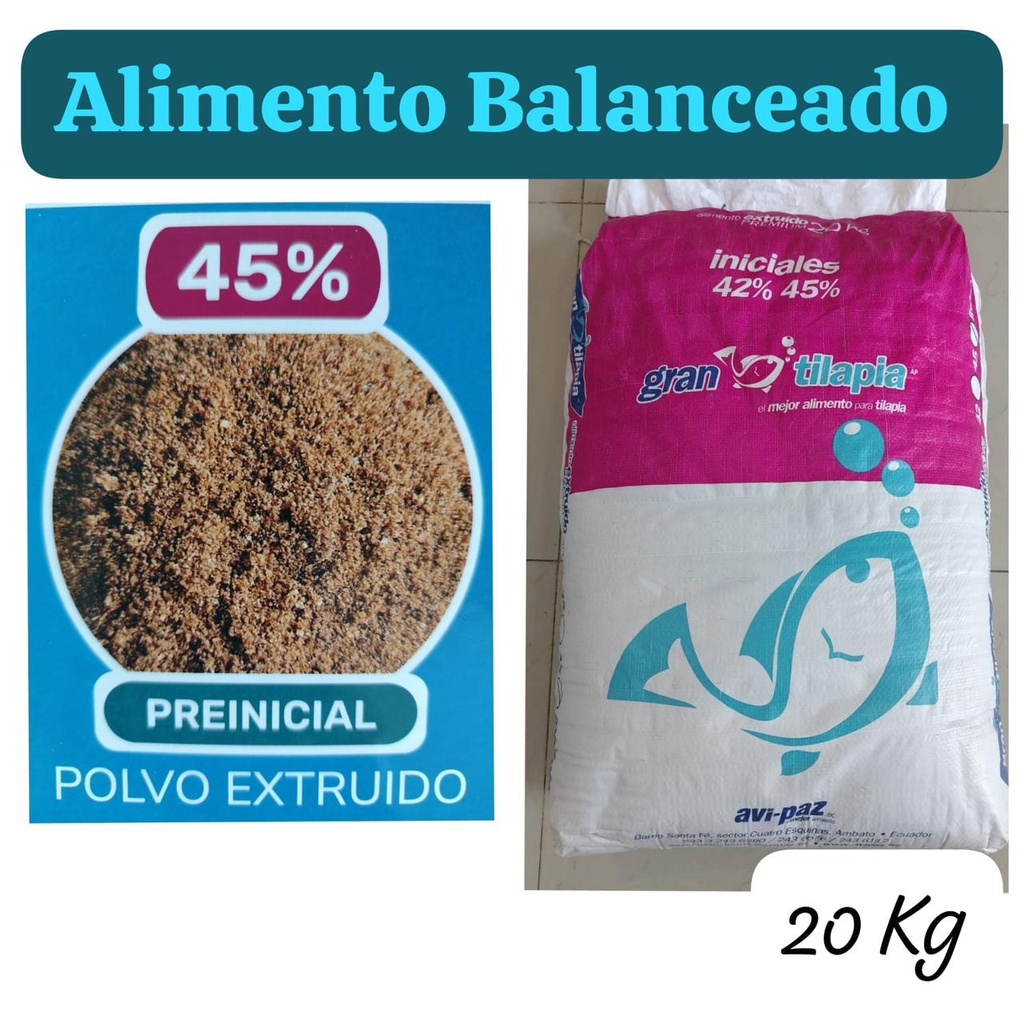 GRAN TILAPIA